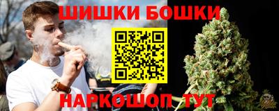 дживик Аша