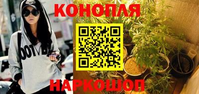 дживик Аша
