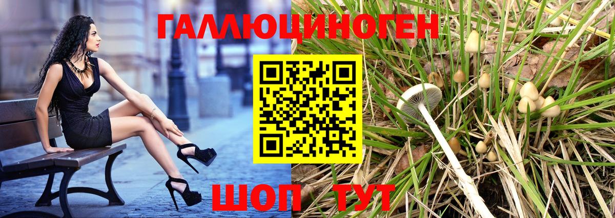 Галлюциногенные грибы Magic Shrooms Калининград